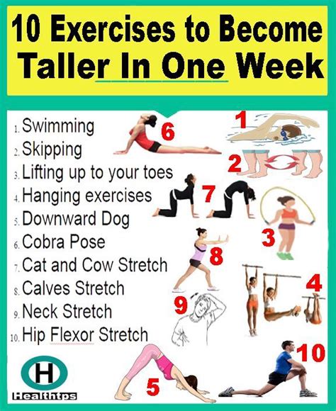 30 Best Exercises to Increase Height: How to increase height.